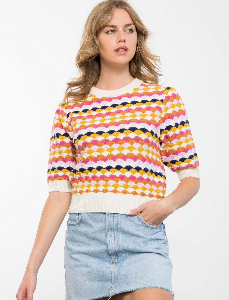 Short Sleeve Multi Color Knit Top