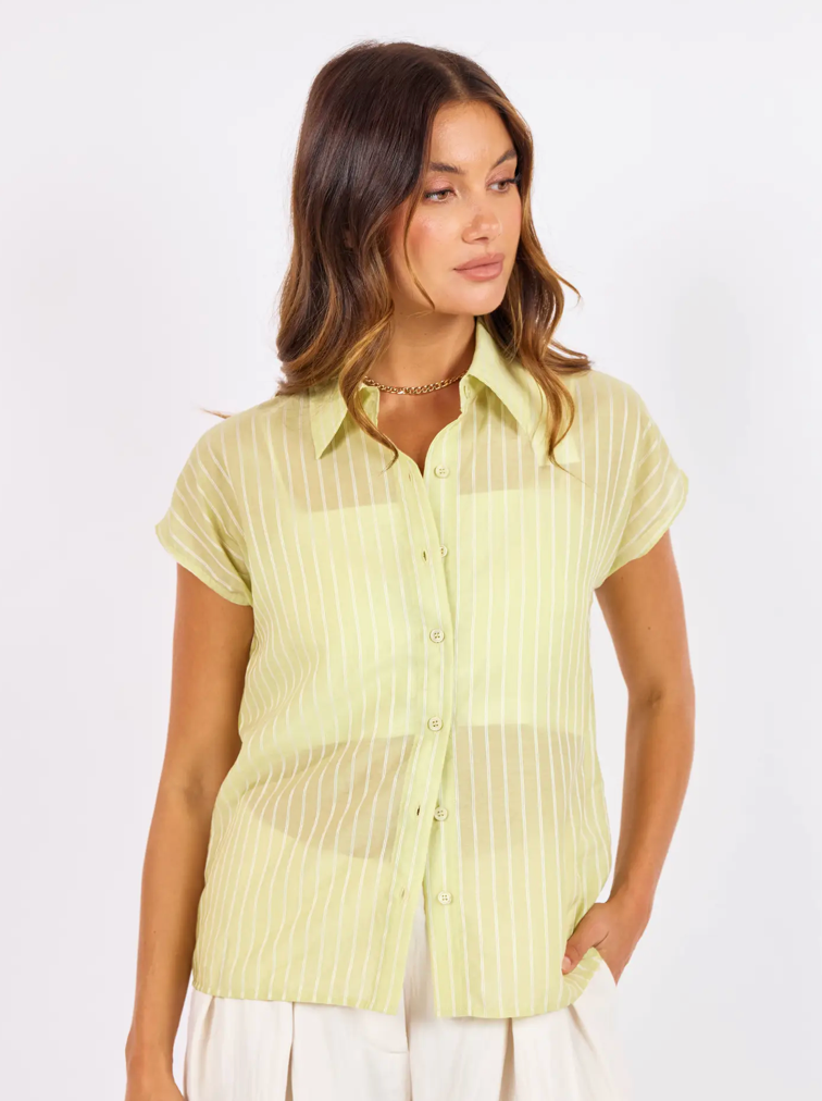 Lime Ivory